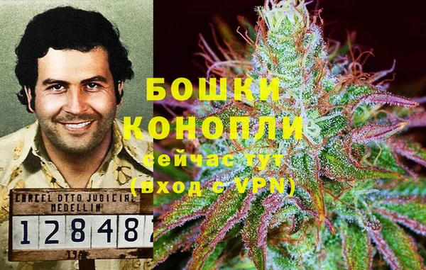 ПСИЛОЦИБИНОВЫЕ ГРИБЫ Киреевск