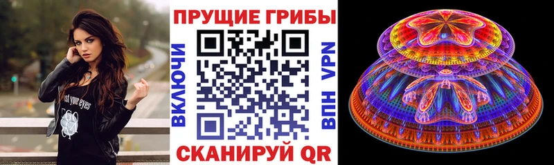 Псилоцибиновые грибы MAGIC MUSHROOMS  Купить закладки  Выкса 